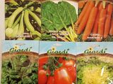 four seed packets of various vegetables on a white surface