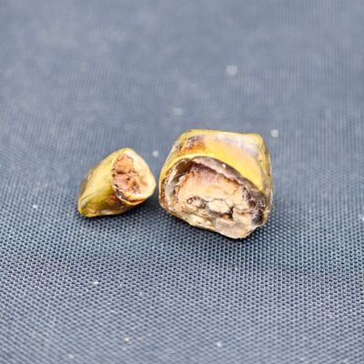 un fruit coupé en deux, posé par terre
