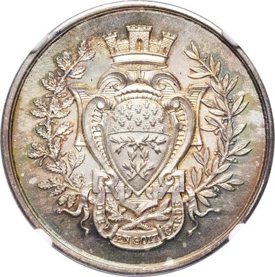 une image représentant une pièce d'argent sur laquelle figure un blason