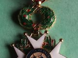 an image of a medal with a ribbon around it on a green surface