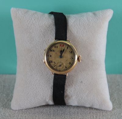 an image of a wrist watch sitting on a pillow on a table