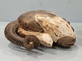 a small turtle that is sitting on a table