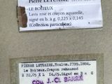 Photo 12/20 du lot