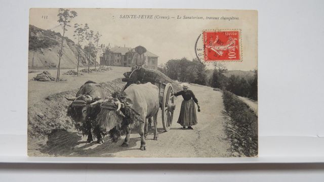 Ste-Feyre : Le Sanatorium, travaux champêtres (ND 153). TBE. Cart...