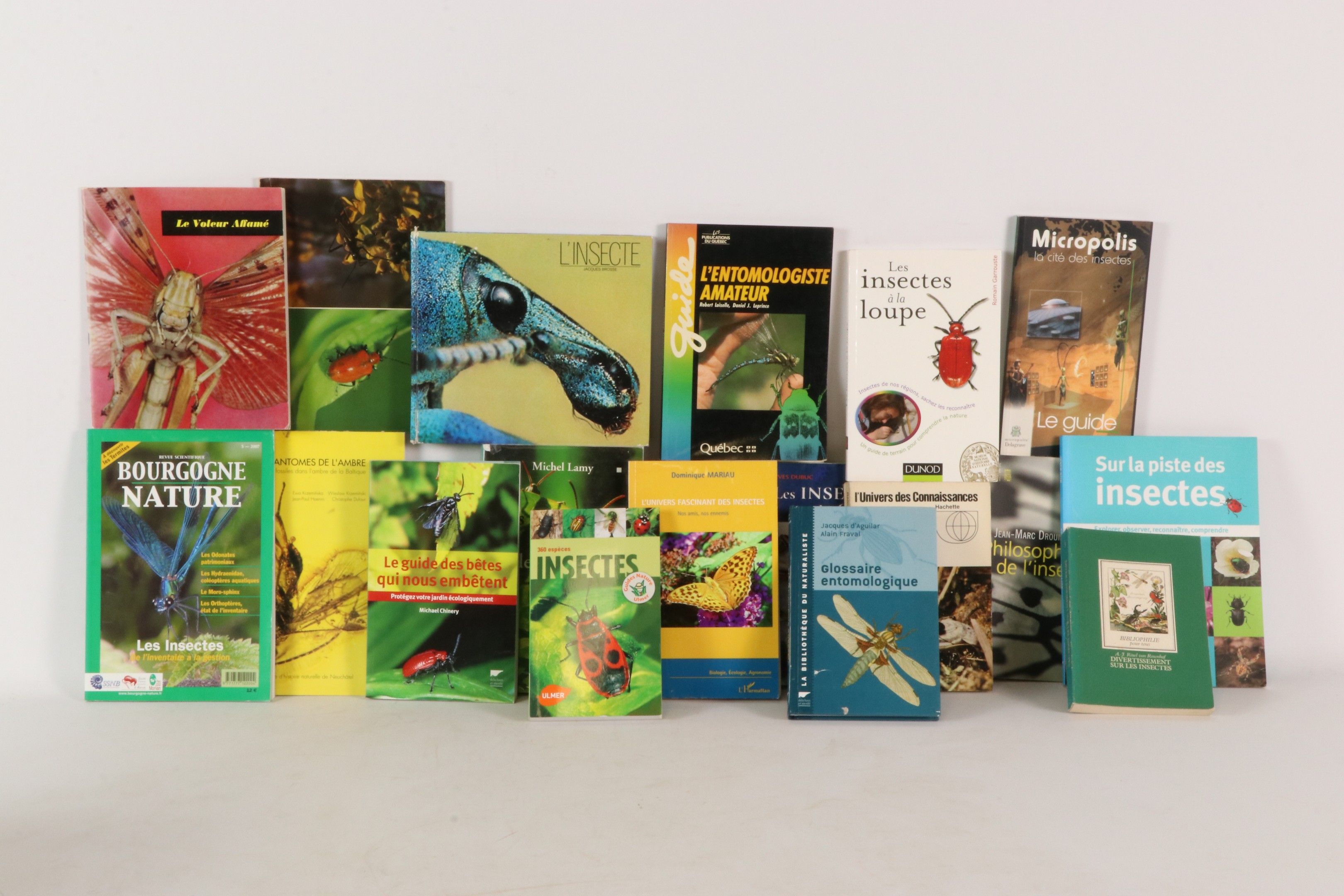 [ENTOMOLOGIE] Lot d'ouvrages divers dont guides modernes, gl…