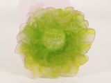a close up of a green flower on a white surface