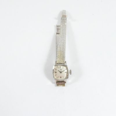 l'image d'une montre-bracelet entourée d'une chaîne