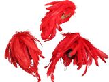three pieces of red feathers on a white background