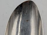 a spoon that is sitting on a table