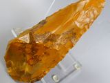 a close up of a large piece of rock on a clear stand