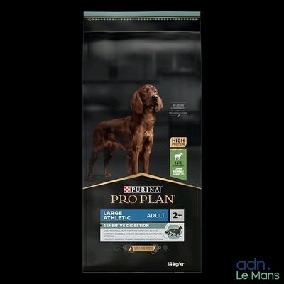 a dog is standing in front of a bag of prop plan dog food