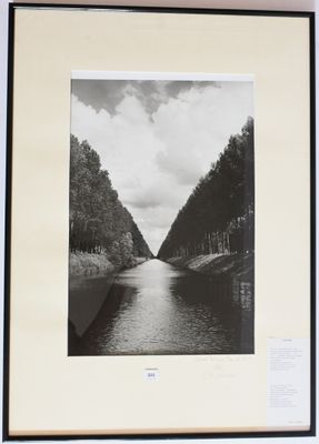 une photo en noir et blanc d'une rivière avec des arbres en arrière-plan