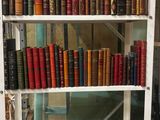 de nombreux livres qui se trouvent sur les étagères de la pièce