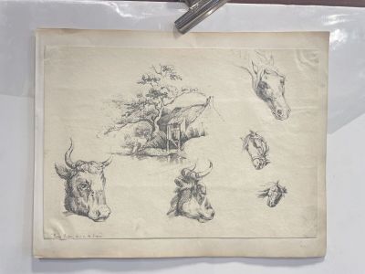 a drawing of a cow and other animals on a piece of paper