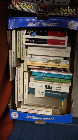 Carton de 30 livres sur le Cinéma. 