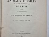 Photo 2/9 du lot