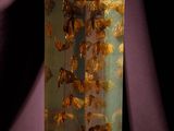 a glass vase with a lot of insects inside of it