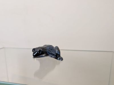 une petite figurine représentant une tortue posée sur une table en verre