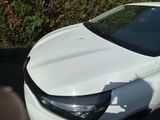 une voiture blanche garée sur un parking, à côté d'un buisson