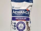 a bag of advance dog food sitting on top of a table