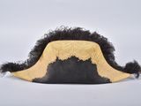 an image of a hat with a gold trim and black feathers on it