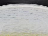 a close up of a glass bowl with food in it