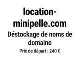 Photo 1/1 du lot