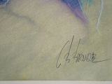 Photo 2/6 du lot