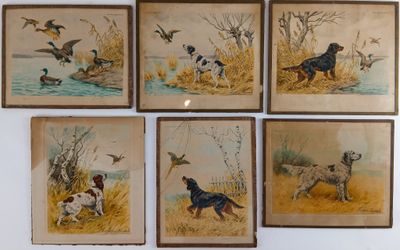 quatre photos encadrées représentant des chiens et des canards, accrochées au mur d'une pièce