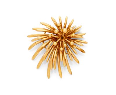 une image représentant une broche plaquée or ornée de pointes