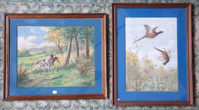 two framed pictures of birds on the wall of a room