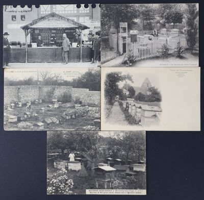 plusieurs vieilles photos en noir et blanc représentant des personnes dans un jardin