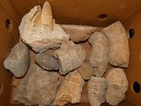 a cardboard box filled with rocks and a piece of bread