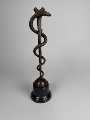 a bronze statue of a snake with a staff on top of it