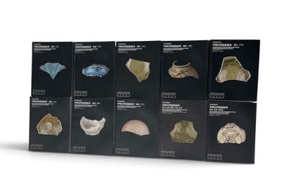 Plusieurs types d'os différents sont exposés sur une surface blanche