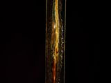 an image of a glass vase with a piece of food inside of it