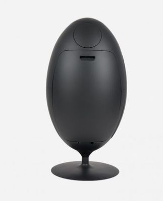 un objet noir en forme d'œuf posé sur un socle noir
