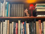 une bibliothèque sur laquelle sont posés de nombreux livres et une lampe