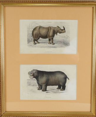 deux reproductions encadrées représentant un hippopotame et un rhinocéros dans un champ