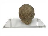 a large rock on a clear shelf on a white surface