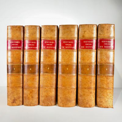 six old books are lined up in a row on a white surface