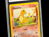 une image d'une carte Pokémon dans un étui en plastique