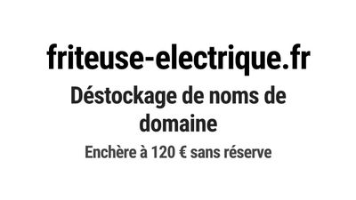 Nom de domaine friteuse-electrique.