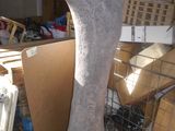 a large bone in the middle of a pile of boxes