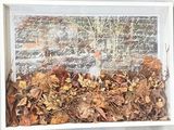 une photo d'une photo d'une fenêtre dans laquelle on voit des feuilles