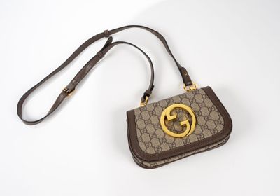un sac à main marron et noir orné d'un logo GG doré