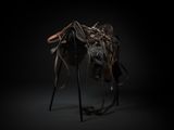 an image of a horse that is standing up in the dark