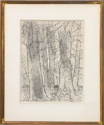 an image of a drawing of trees in a forest