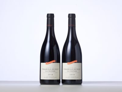 deux bouteilles de vin rouge posées sur une table