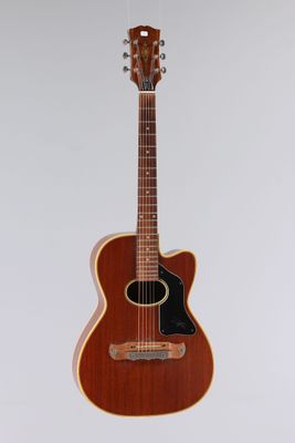 a close up of a guitar on a white background